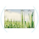 Monitor WLED Lenovo T24d-10 24 cale 1920 x 1200 WUXGA IPS HDMI