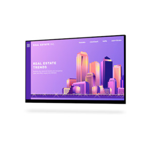 Monitor Dell P2422H 24" IPS/FHD 1920x1080/HDMI/DisplayPort/Bez Nogi