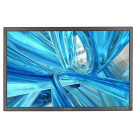 Monitor LED Dell P2217 22 cale 1680 x 1050 WSXGA+ HDMI bez podstawy